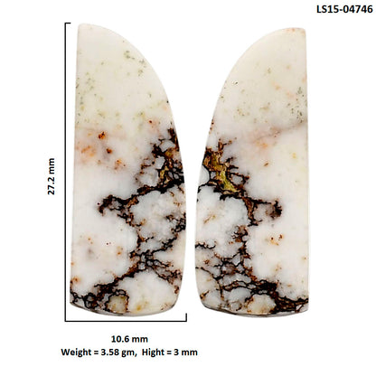 Wild Horse Jasper Pair 10.6x27.2x3 mm Fancy Shape Polished Gemstone LS15-04746