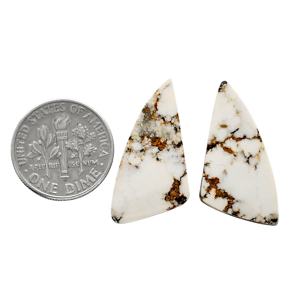 Wild Horse Jasper Pair 13x26.7x3 mm Fancy Shape Polished Gemstone LS15-04755