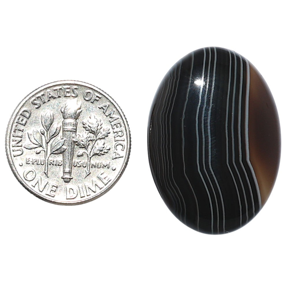 Black Botswana Agate 19x26.7x5 mm Oval Shape Polished Gemstone LS150-08218