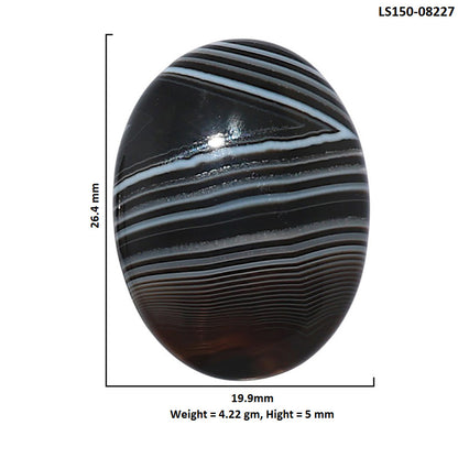 Black Botswana Agate 19.9x26.4x5 mm Oval Shape Polished Gemstone LS150-08227