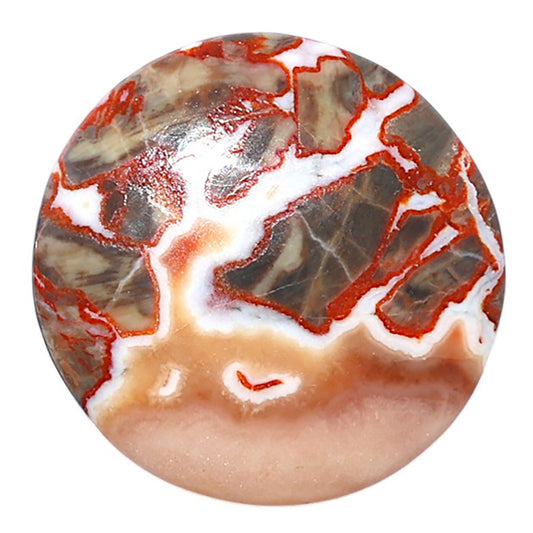 Money Agate 28.3x28.3x5.8 mm Round Shape Polished Gemstone LS151-08229