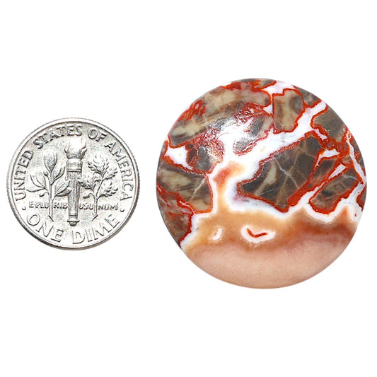 Money Agate 28.3x28.3x5.8 mm Round Shape Polished Gemstone LS151-08229