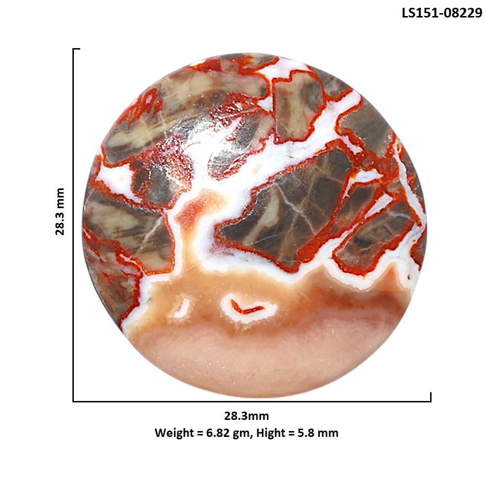 Money Agate 28.3x28.3x5.8 mm Round Shape Polished Gemstone LS151-08229