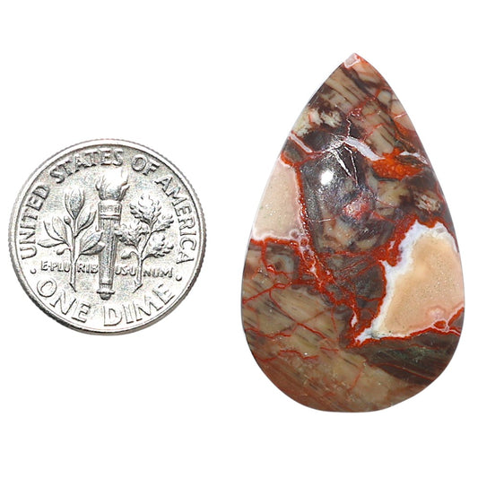 Money Agate 20x32.5x5.5 mm Pear Shape Polished Gemstone LS151-08230
