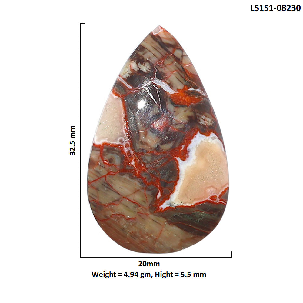 Money Agate 20x32.5x5.5 mm Pear Shape Polished Gemstone LS151-08230