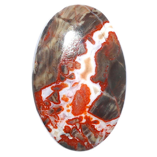 Money Agate 19.5x30.4x5.7 mm Oval Shape Polished Gemstone LS151-08232
