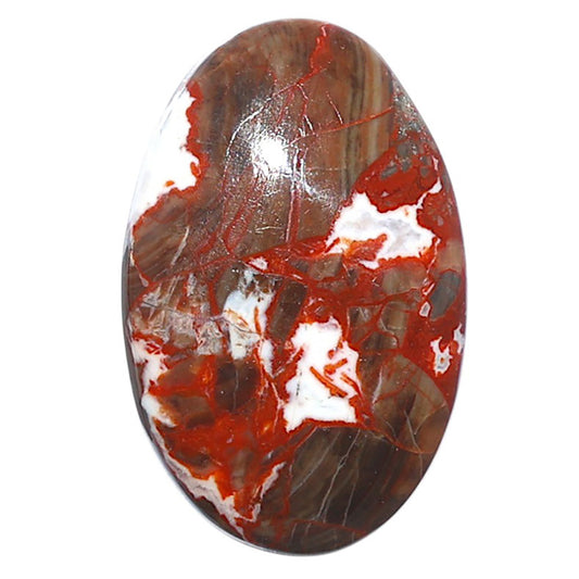 Money Agate 19.2x30.7x6 mm Oval Shape Polished Gemstone LS151-08233