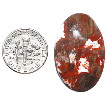 Money Agate 19.2x30.7x6 mm Oval Shape Polished Gemstone LS151-08233