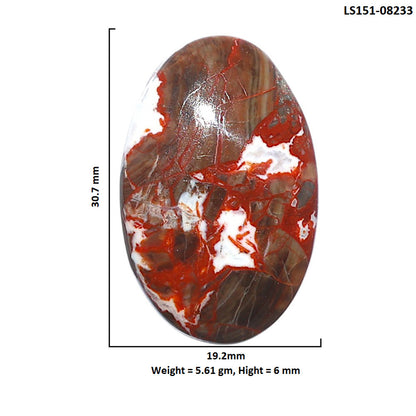 Money Agate 19.2x30.7x6 mm Oval Shape Polished Gemstone LS151-08233