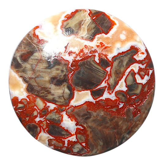 Money Agate 37.5x37.5x5.8 mm Round Shape Polished Gemstone LS151-08235