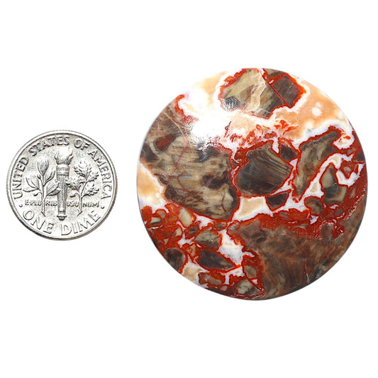 Money Agate 37.5x37.5x5.8 mm Round Shape Polished Gemstone LS151-08235