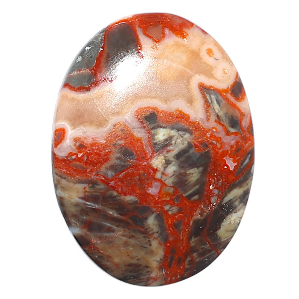 Money Agate 23.25x31.25x5 mm Oval Shape Polished Gemstone LS151-08236
