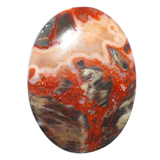 Money Agate 23.25x31.25x5 mm Oval Shape Polished Gemstone LS151-08236
