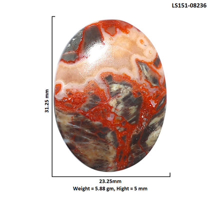 Money Agate 23.25x31.25x5 mm Oval Shape Polished Gemstone LS151-08236