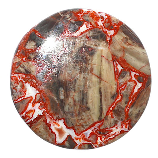 Money Agate 35x35x5.5 mm Round Shape Polished Gemstone LS151-08237
