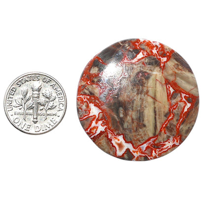 Money Agate 35x35x5.5 mm Round Shape Polished Gemstone LS151-08237