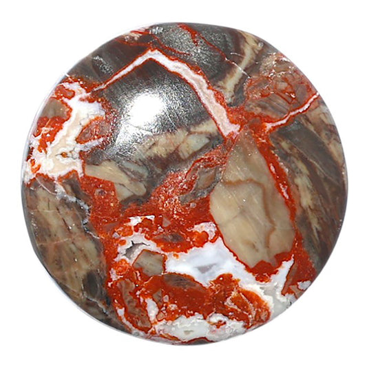 Money Agate 27.4x27.4x6.5 mm Round Shape Polished Gemstone LS151-08239