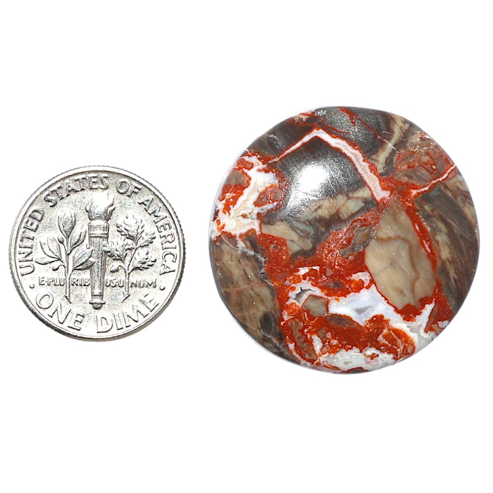 Money Agate 27.4x27.4x6.5 mm Round Shape Polished Gemstone LS151-08239