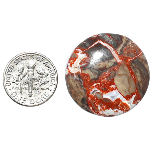 Money Agate 27.4x27.4x6.5 mm Round Shape Polished Gemstone LS151-08239