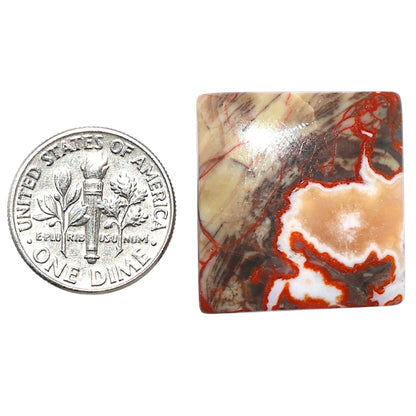 Money Agate 21.9x23x5.8 mm Baguette Shape Polished Gemstone LS151-08240