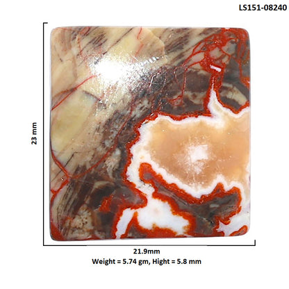 Money Agate 21.9x23x5.8 mm Baguette Shape Polished Gemstone LS151-08240