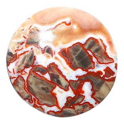 Money Agate 29.7x29.7x5.3 mm Round Shape Polished Gemstone LS151-08241