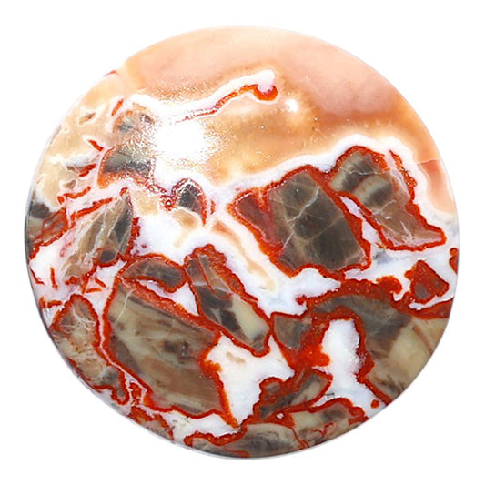 Money Agate 29.7x29.7x5.3 mm Round Shape Polished Gemstone LS151-08241