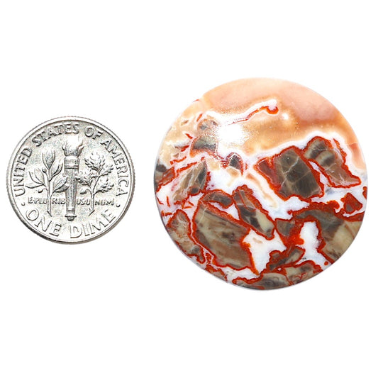 Money Agate 29.7x29.7x5.3 mm Round Shape Polished Gemstone LS151-08241