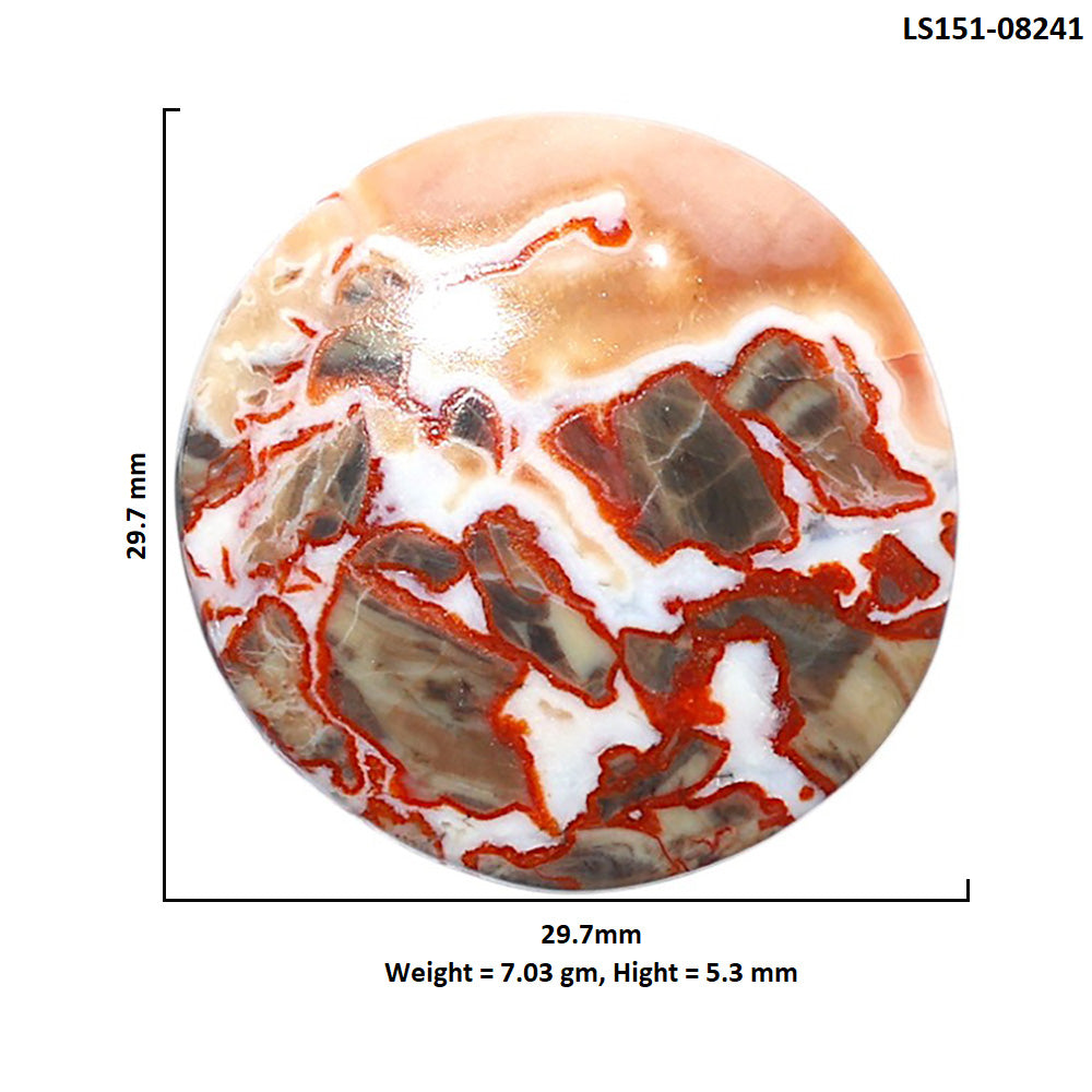 Money Agate 29.7x29.7x5.3 mm Round Shape Polished Gemstone LS151-08241