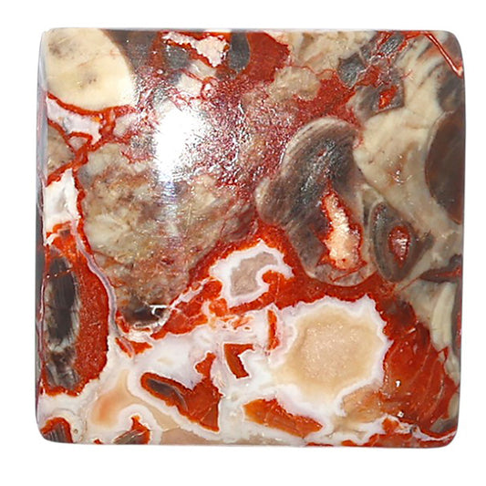 Money Agate 25.7x26x6 mm Baguette Shape Polished Gemstone LS151-08242