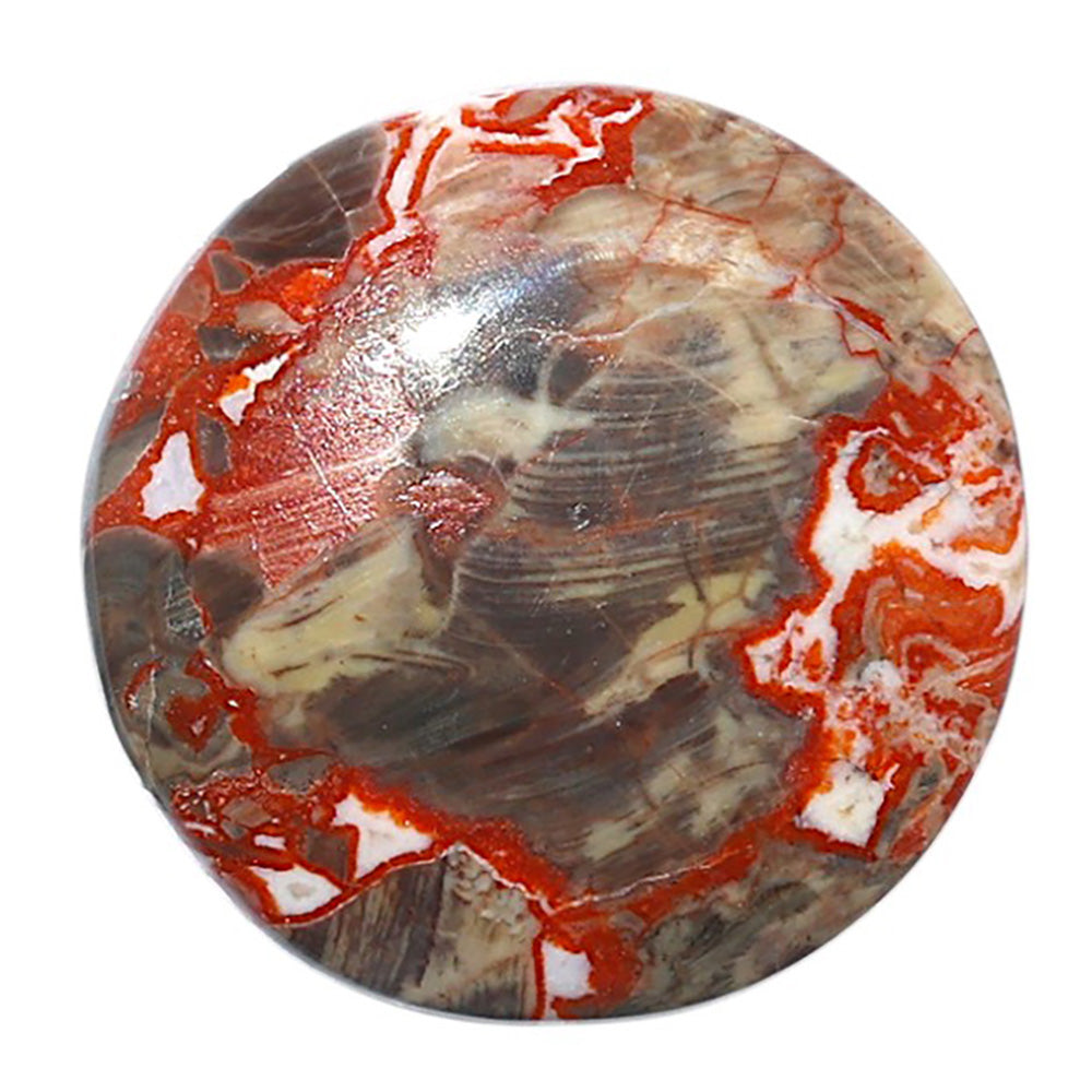 Money Agate 28.2x28.2x6 mm Round Shape Polished Gemstone LS151-08243