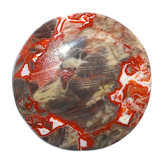 Money Agate 28.2x28.2x6 mm Round Shape Polished Gemstone LS151-08243
