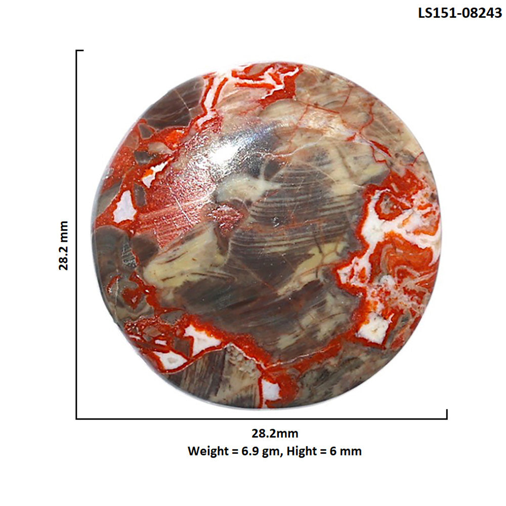 Money Agate 28.2x28.2x6 mm Round Shape Polished Gemstone LS151-08243