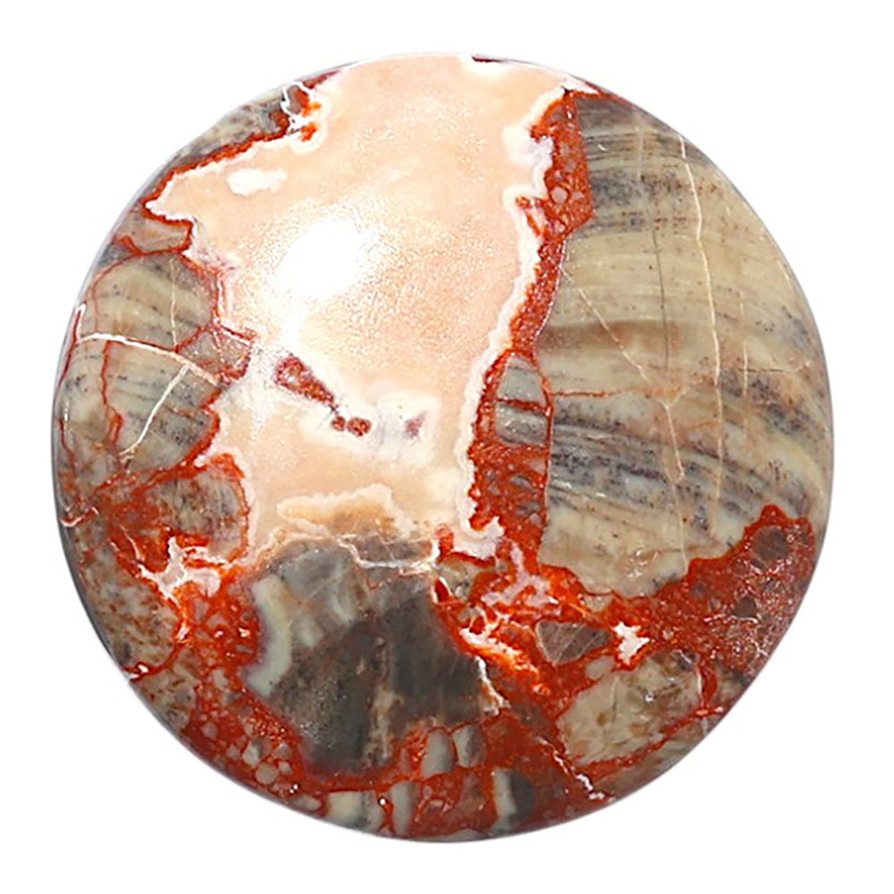 Money Agate 28.8x28.8x5.4 mm Round Shape Polished Gemstone LS151-08245