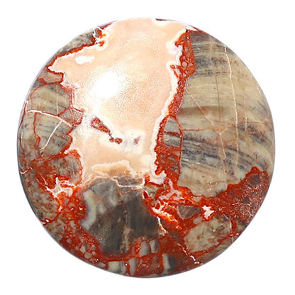 Money Agate 28.8x28.8x5.4 mm Round Shape Polished Gemstone LS151-08245