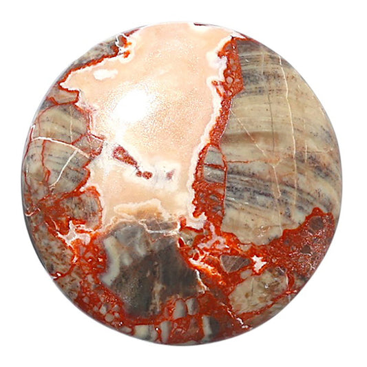 Money Agate 28.8x28.8x5.4 mm Round Shape Polished Gemstone LS151-08245