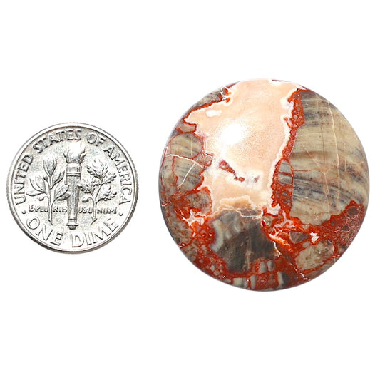 Money Agate 28.8x28.8x5.4 mm Round Shape Polished Gemstone LS151-08245