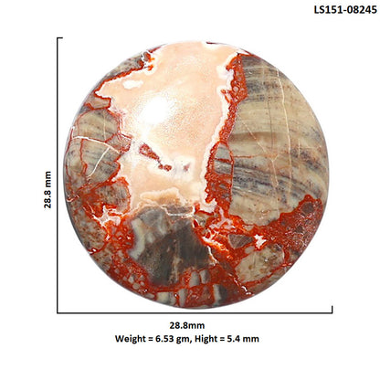 Money Agate 28.8x28.8x5.4 mm Round Shape Polished Gemstone LS151-08245