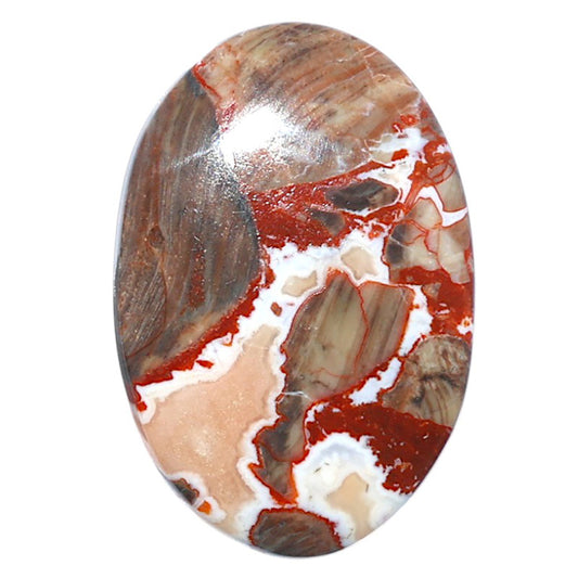 Money Agate 22.1x32.6x5 mm Oval Shape Polished Gemstone LS151-08246