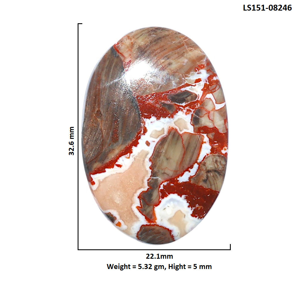 Money Agate 22.1x32.6x5 mm Oval Shape Polished Gemstone LS151-08246