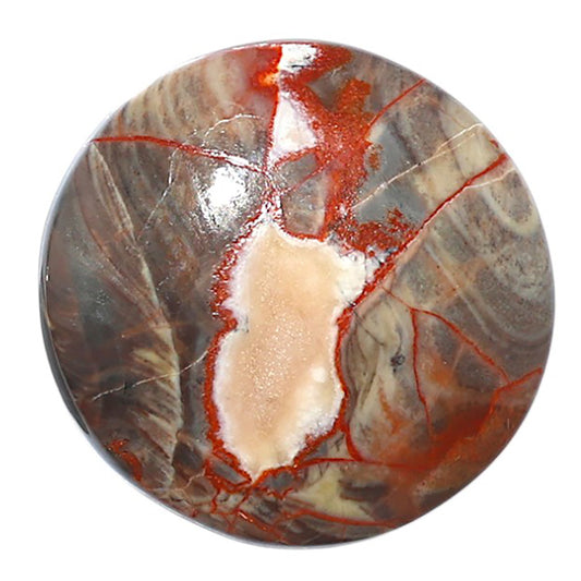 Money Agate 27x27x6 mm Round Shape Polished Gemstone LS151-08247