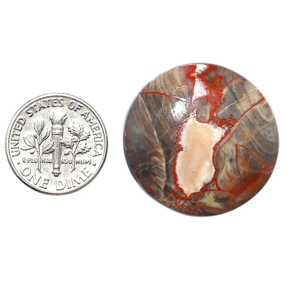 Money Agate 27x27x6 mm Round Shape Polished Gemstone LS151-08247