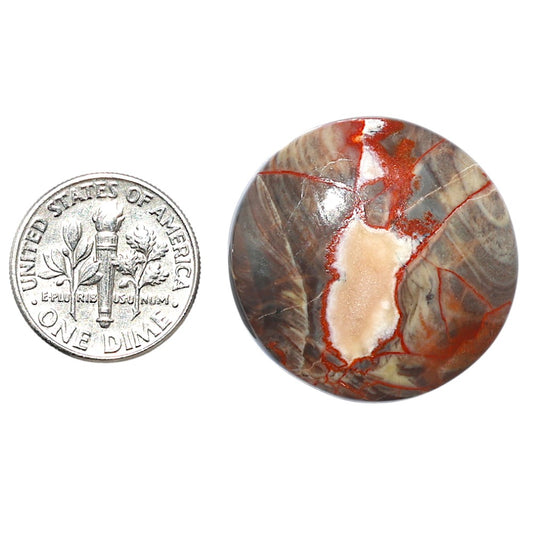 Money Agate 27x27x6 mm Round Shape Polished Gemstone LS151-08247