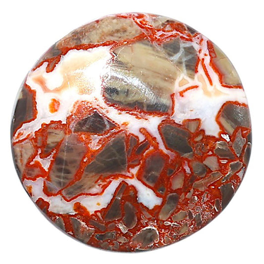 Money Agate 27x27x5.5 mm Round Shape Polished Gemstone LS151-08248