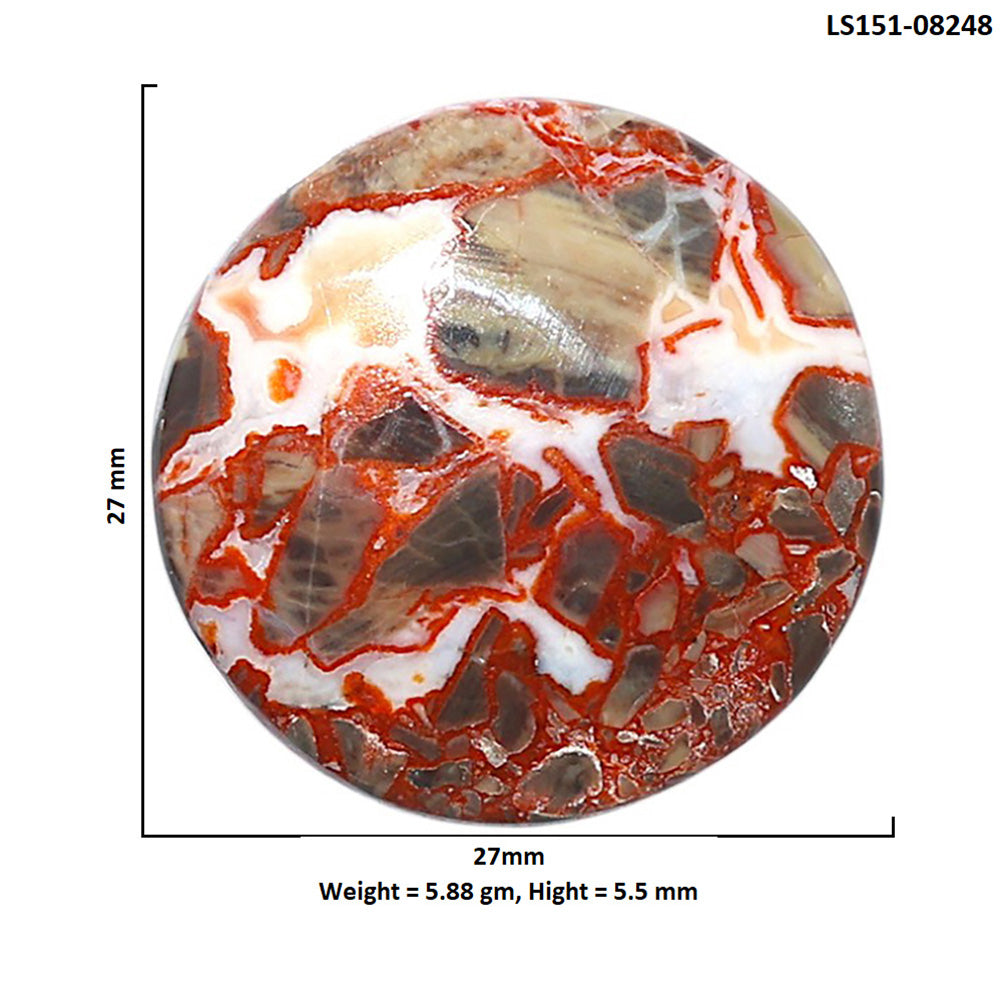 Money Agate 27x27x5.5 mm Round Shape Polished Gemstone LS151-08248