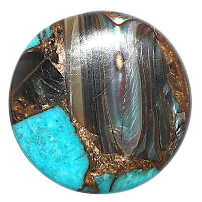 Shell In Black Blue Turquoise 20.1x20.1x3.5 mm Round Shape Polished Gemstone LS155-08497