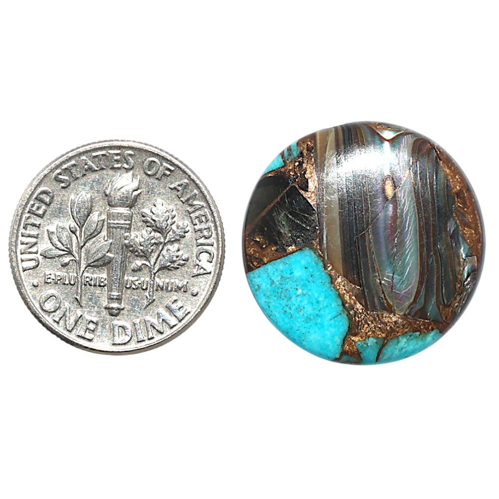 Shell In Black Blue Turquoise 20.1x20.1x3.5 mm Round Shape Polished Gemstone LS155-08497
