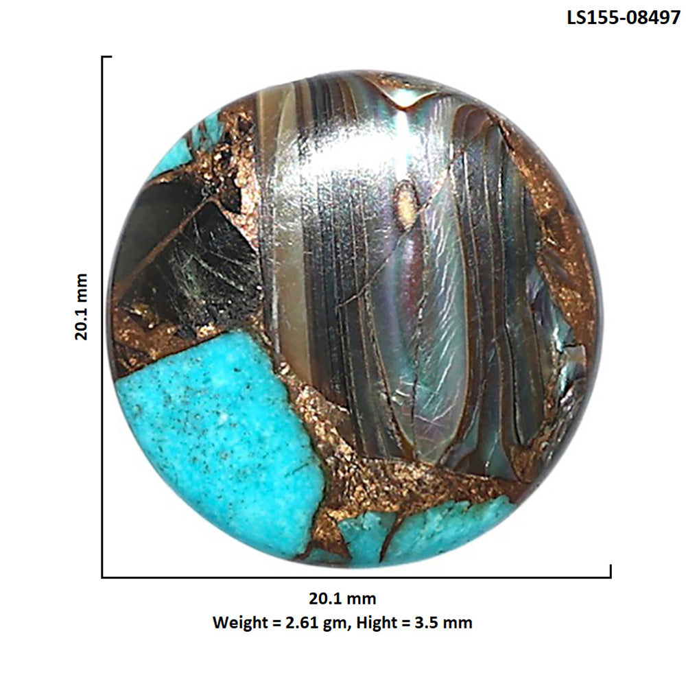Shell In Black Blue Turquoise 20.1x20.1x3.5 mm Round Shape Polished Gemstone LS155-08497