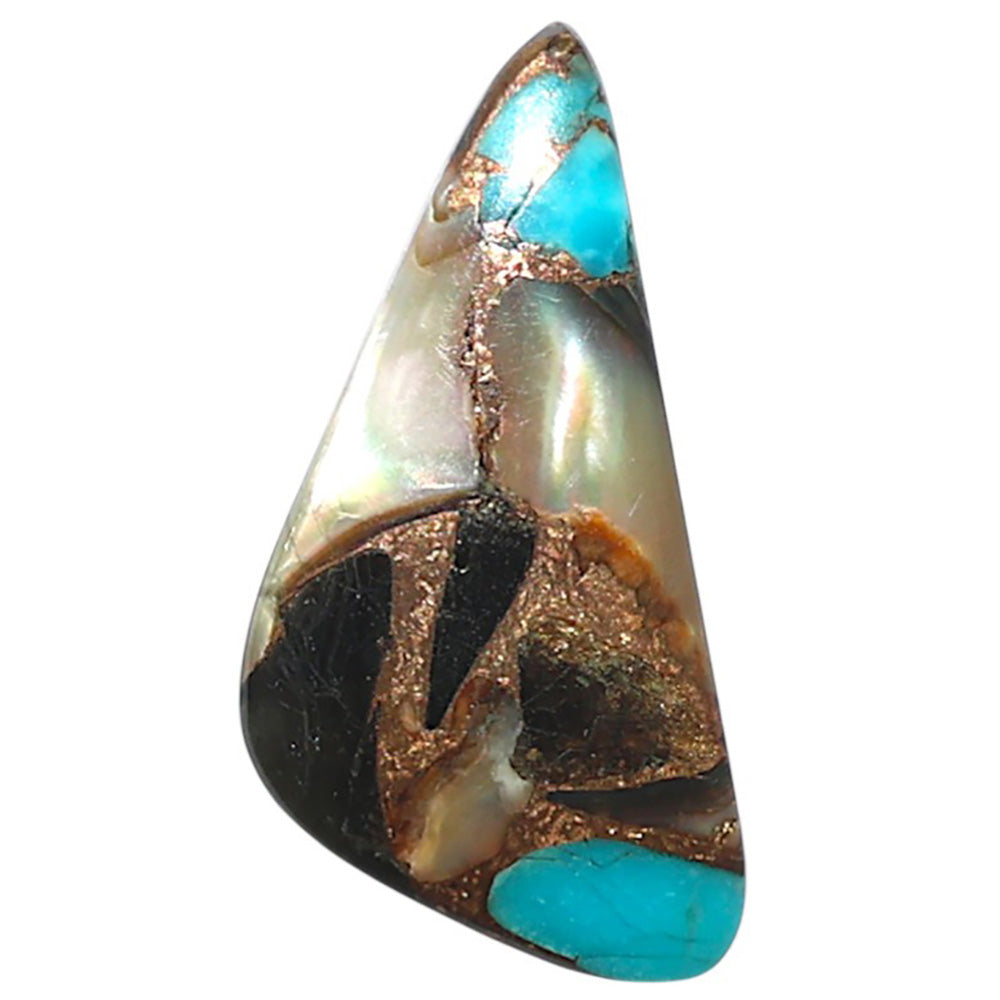 Shell In Black Blue Turquoise 13x26.1x3.2 mm Fancy Shape Polished Gemstone LS155-08500