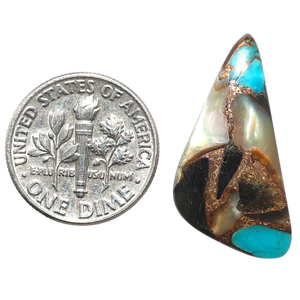 Shell In Black Blue Turquoise 13x26.1x3.2 mm Fancy Shape Polished Gemstone LS155-08500